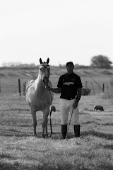 ROCINANTE