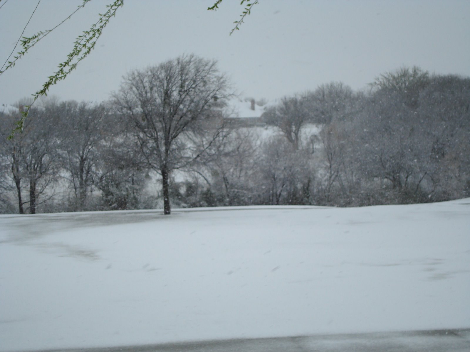 [DSC00116.JPG]