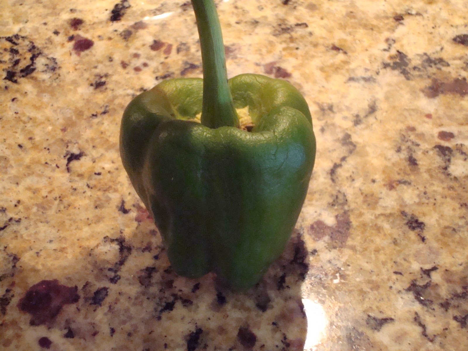[Bell+Pepper+1.JPG]