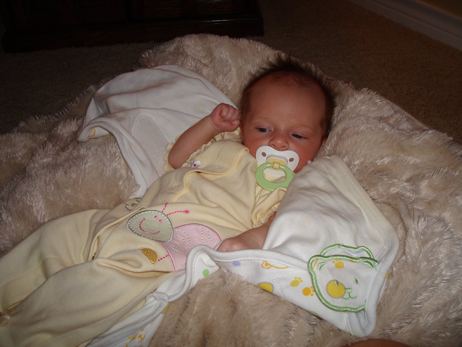 [DSC01175.JPG]