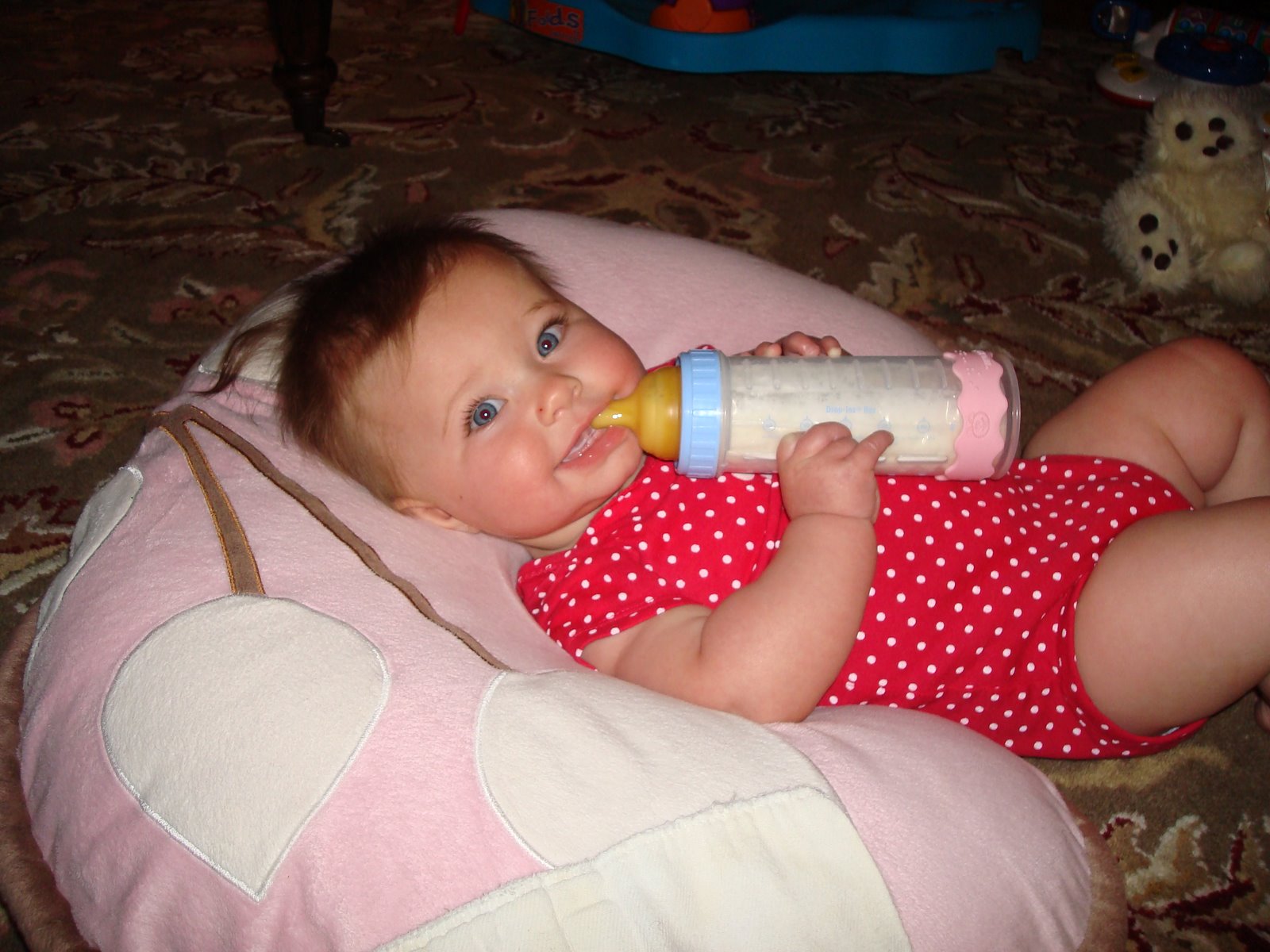 [DSC02265.JPG]