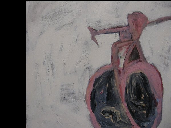Steve's Bike
