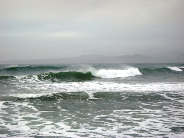 Swell Day