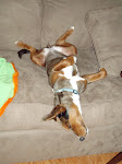 Siesta Bumpass