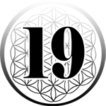 19