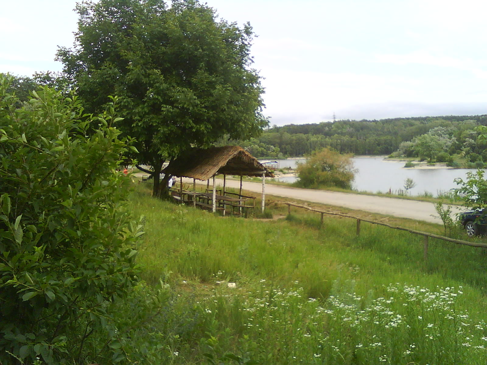 the park beside the lake, lake park, beautiful lake, lake forest, lake
