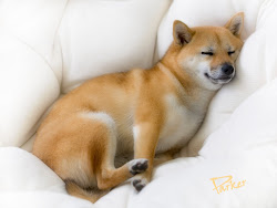Sleeping on the Job