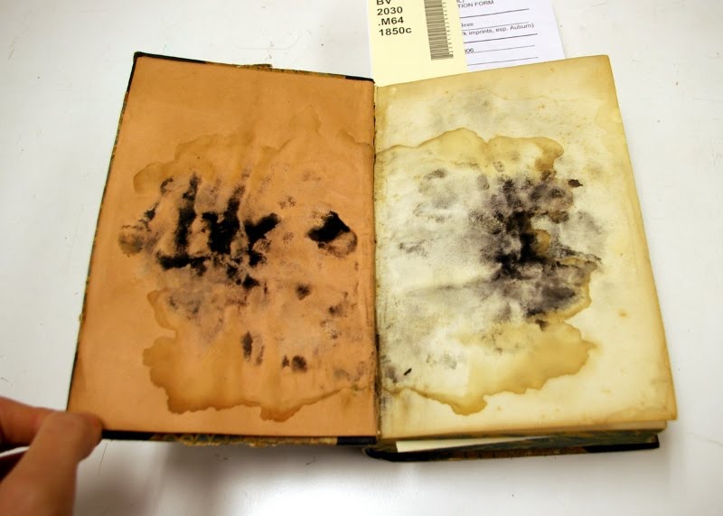 Book in Hand Mold Removal