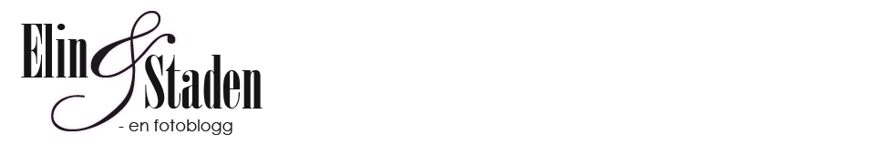 Elin&Staden