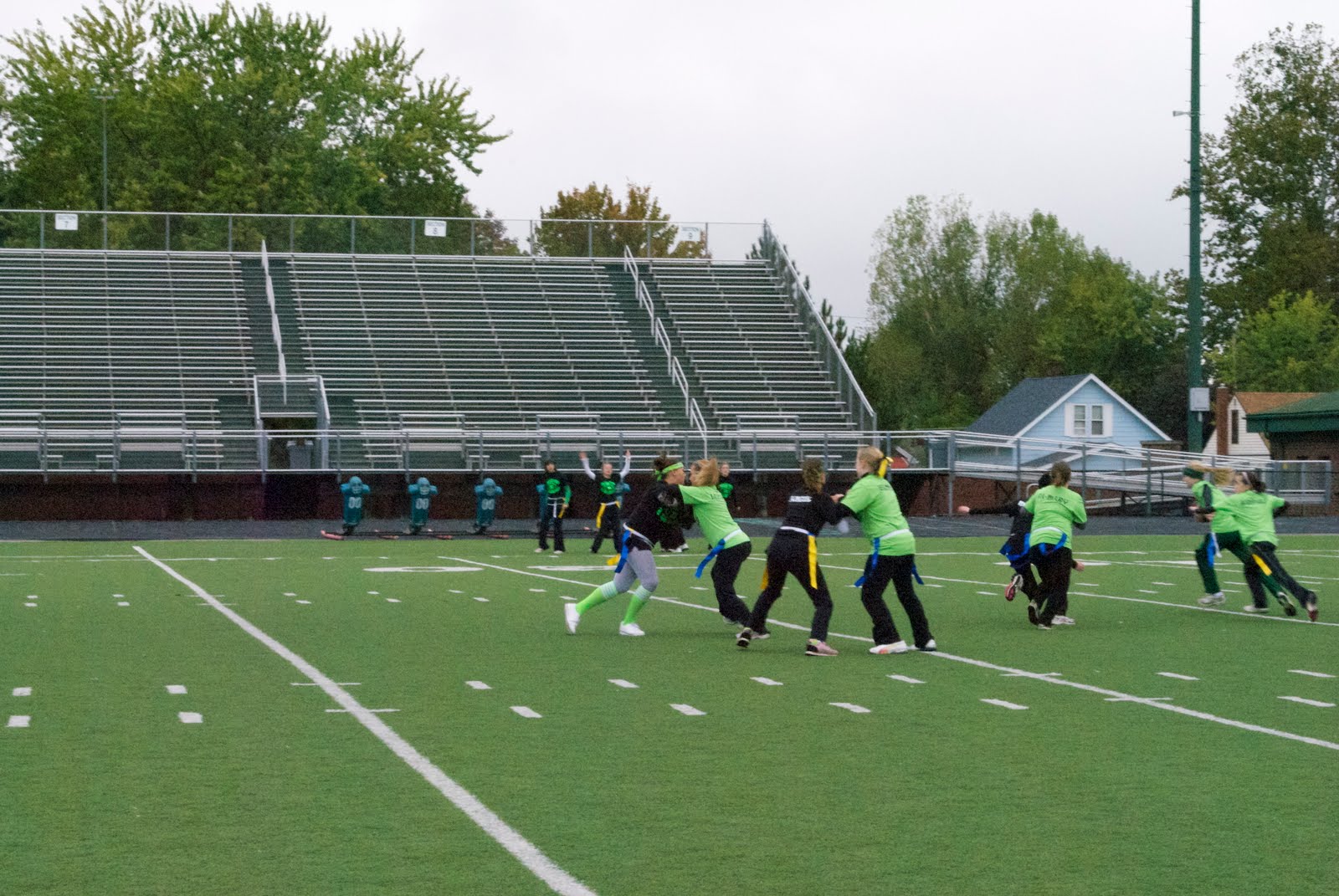 OneShadeyBunch Powder Puff Football