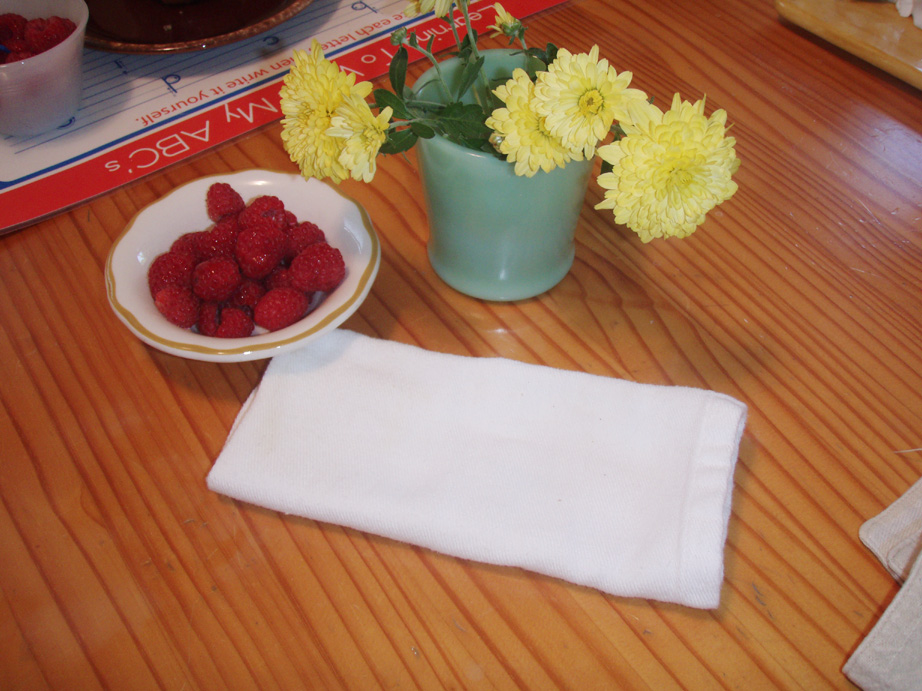 Fieryboots Switching to Cloth Napkins