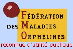 www.fmo.fr