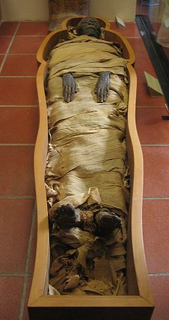 kabar | Info | suka - suka: Proses Mumifikasi Mesir Kuno