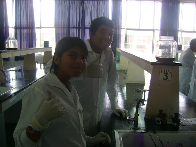 V OLIMPIADA PERUANA DE BIOLOGIA 2010