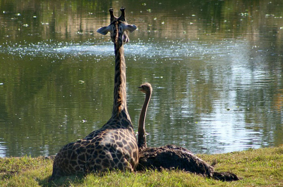 [1-29-2009+9-26-02+AM.jpg]