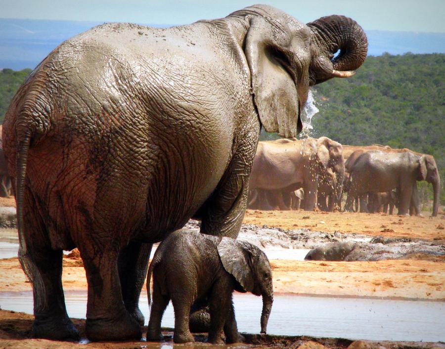 [12383779409Cx5qlY.jpg]