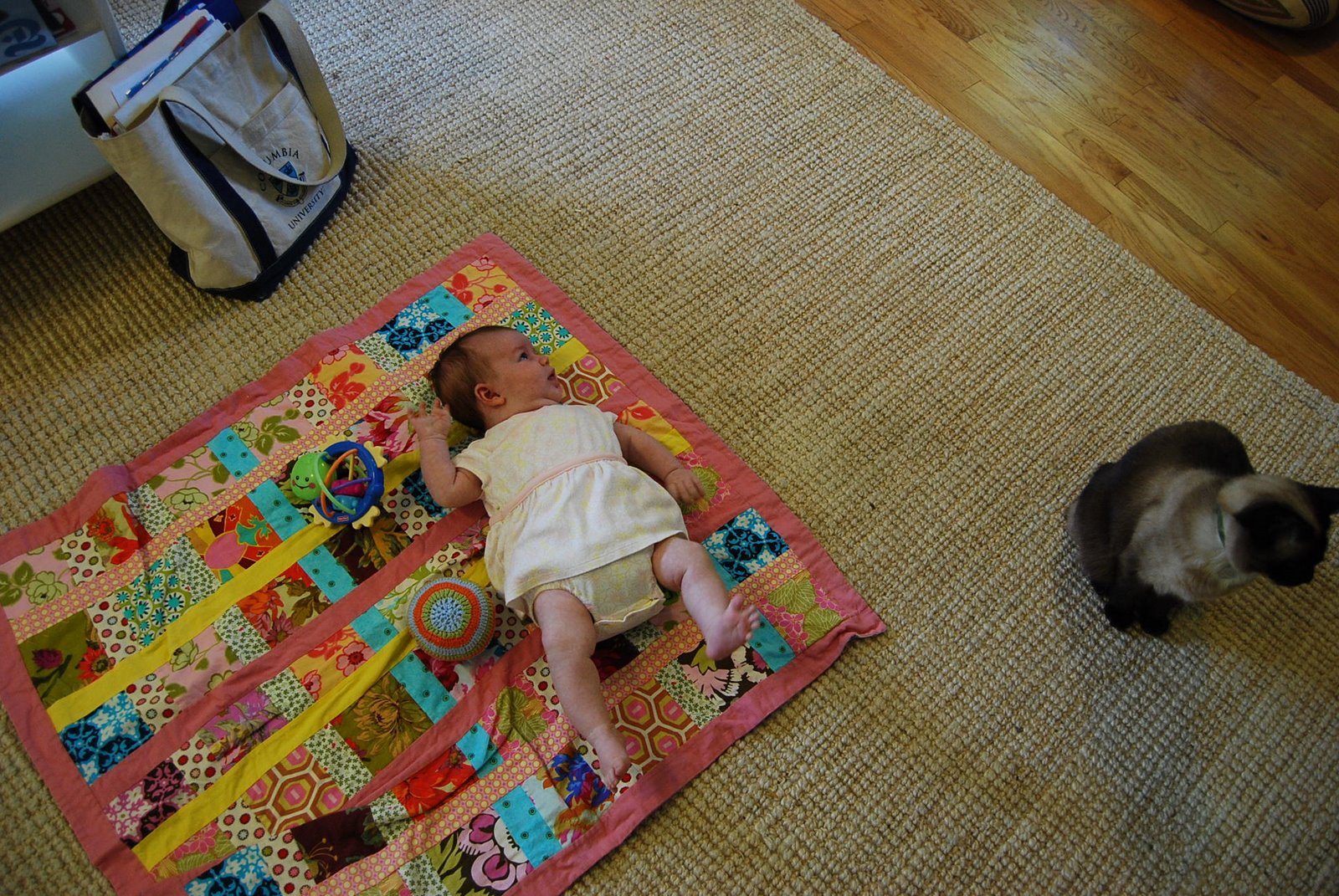 [DSC_0235.JPG]