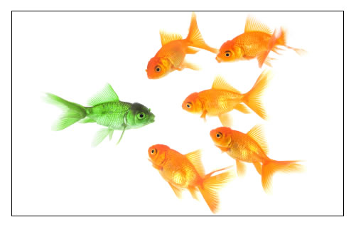 [Green+Goldfish.jpg]