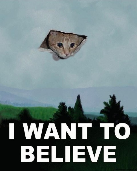 [Ceiling_Cat__I_want_to_believe.jpg]