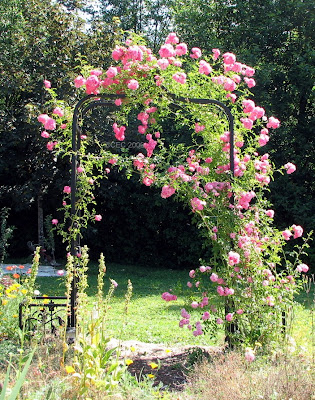 Gardener's Roost: July 2009