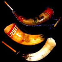 Nueva expedición de Colón: MÚSICA