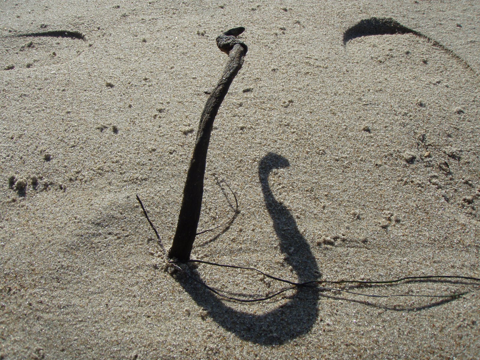 [PB220109.JPG]