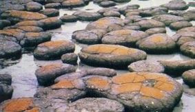 [estromatolitos.jpg]