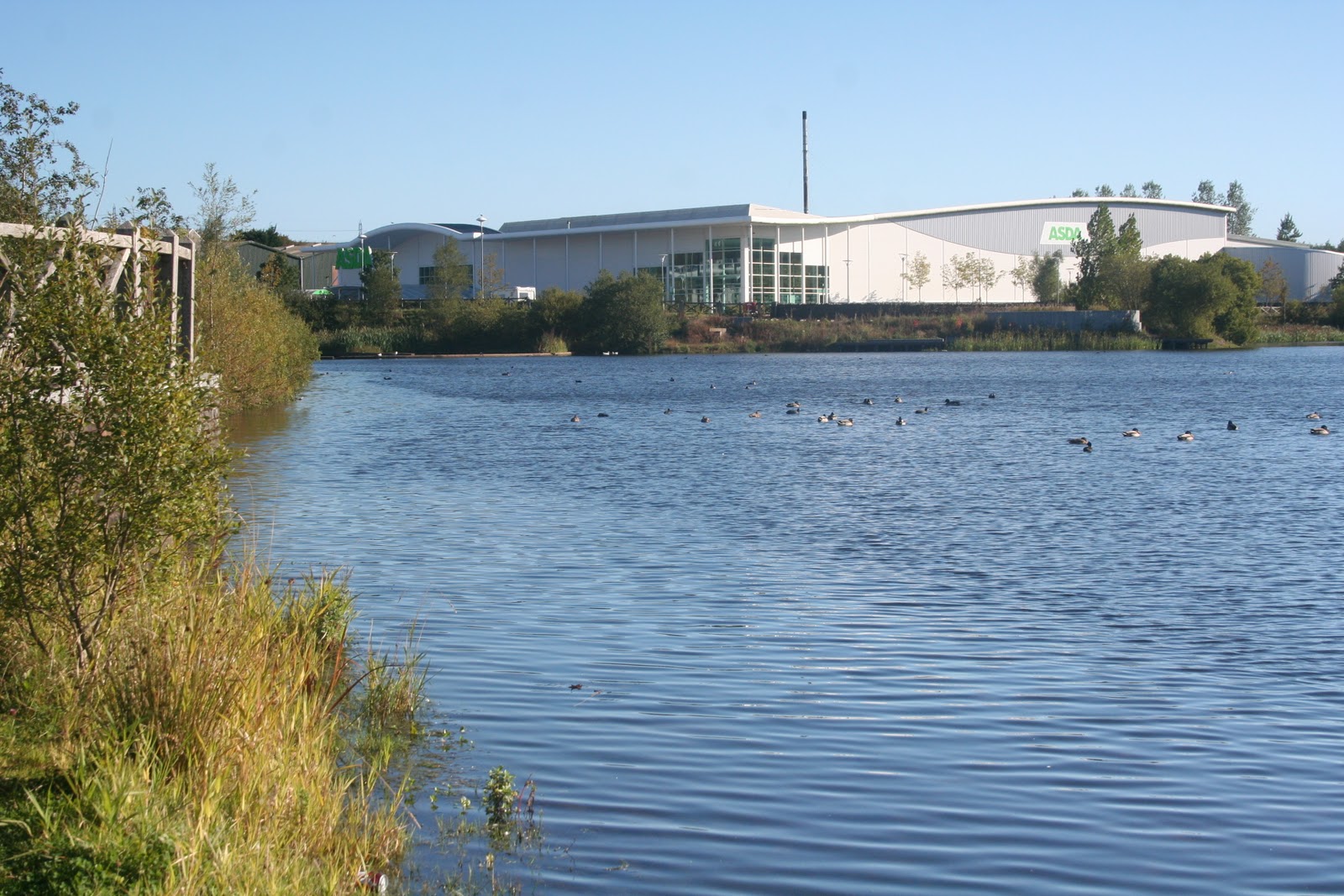 Valley Naturalist Lakeside