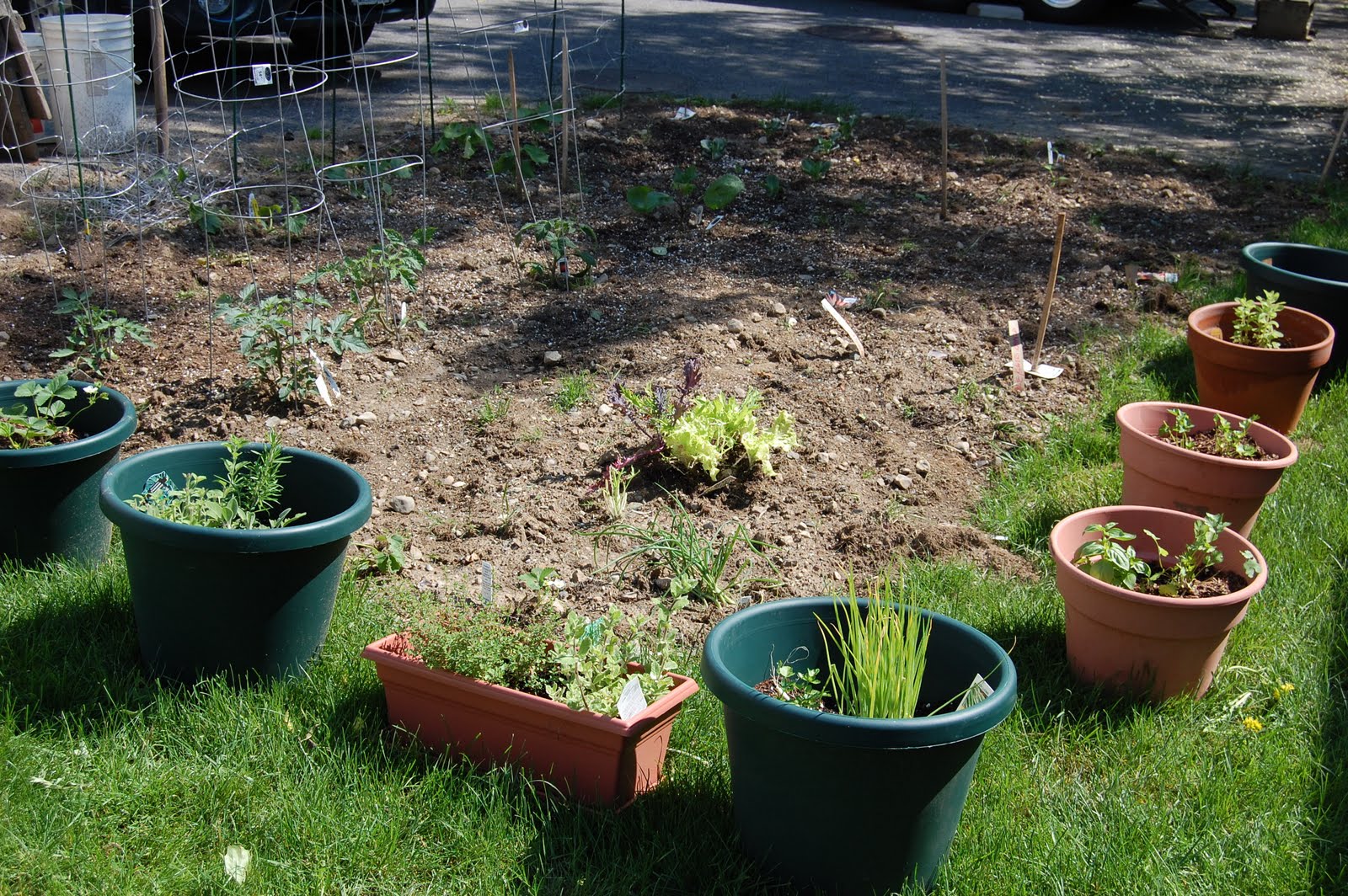 FoodieMommy: The First FoodieMommy Garden and Why We Love Russell's ...