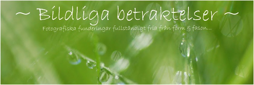 ~ Bildliga betraktelser ~