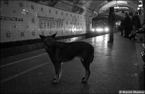 [moscow+f0ea78f0-ff2b-11de-a677-00144feab49a.jpg]