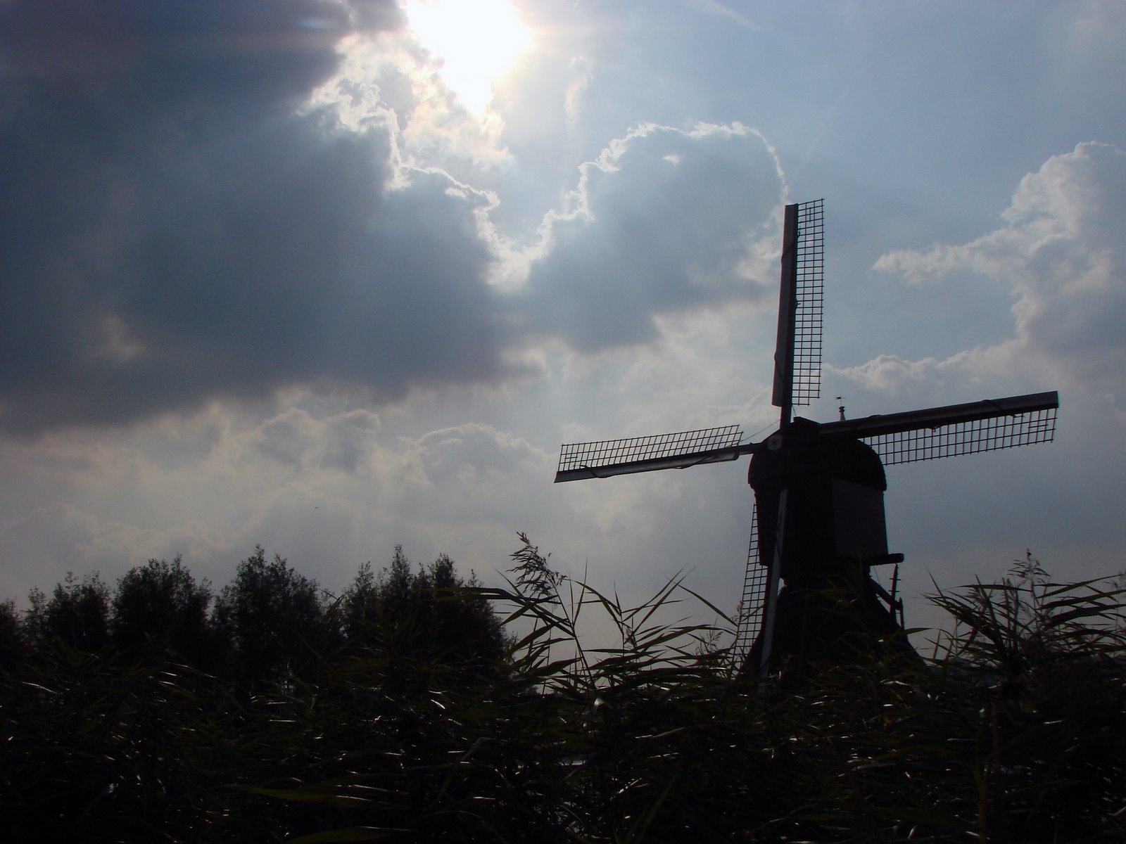 [sombras+mooino.jpg]