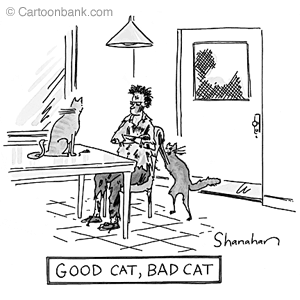 Kitten Heads: good cat bad cat