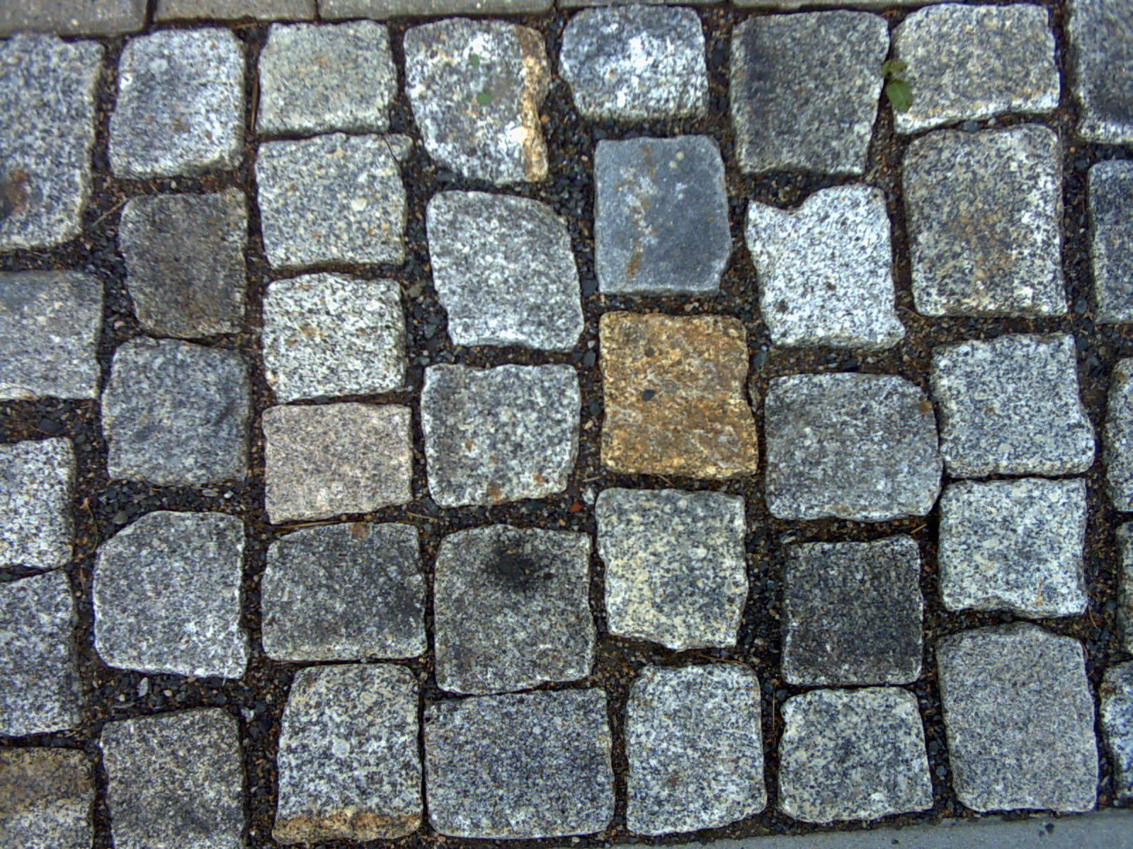 endurance racing: Cobbles