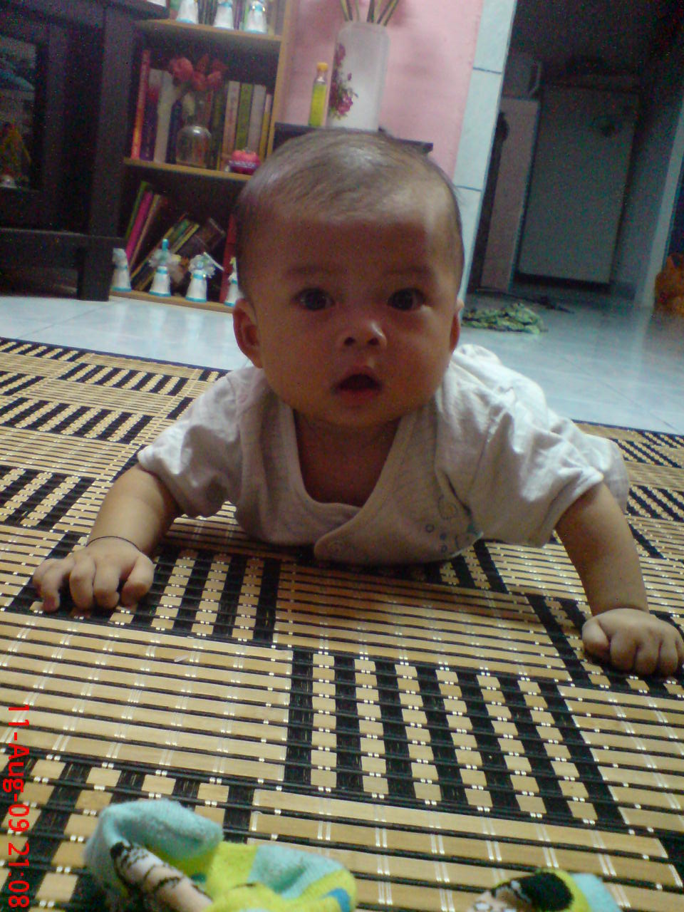 Anas - 7 months (6.7 kg)