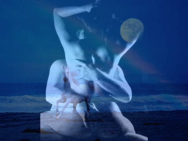 [collage5si9[1].jpg]