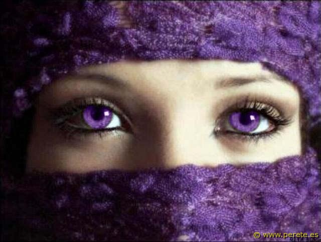[Ojos_Lila_640[1].jpg]