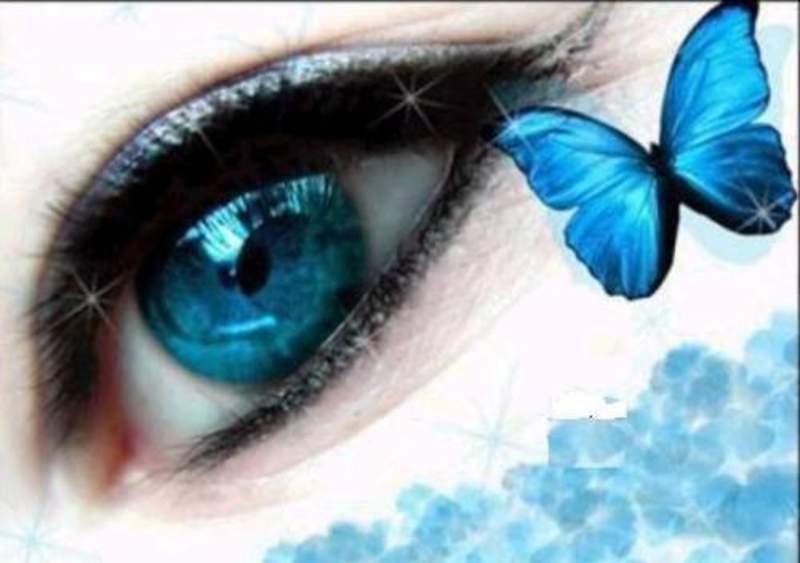 [7474_3310124289.jpg]