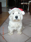 Max en navidad