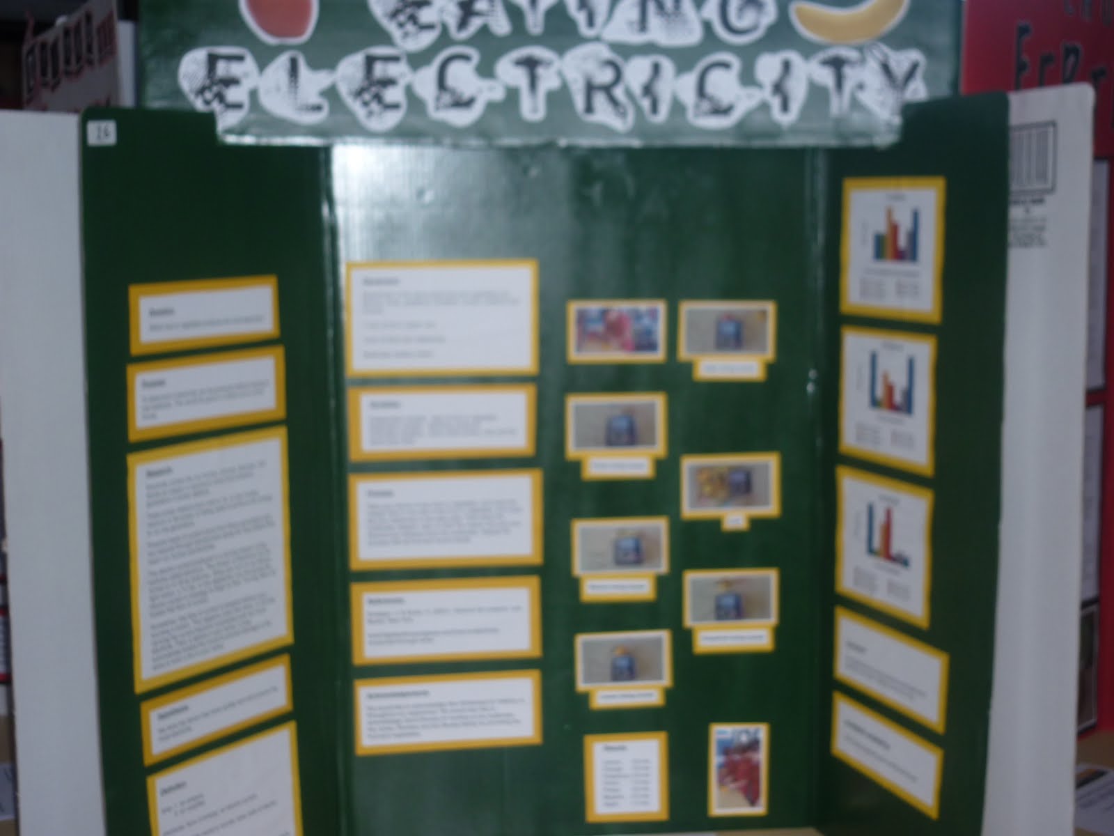 Huia 1 - Our History 2009 - 2014: Science Fair Projects
