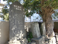 ��n���v���