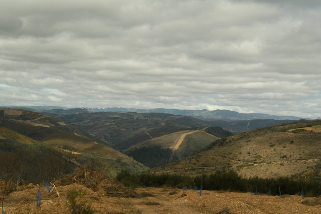 Natureza Nordestina: Terras de Lomba - Abril 2009