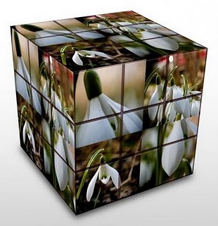 [pimavara-la-cub-t4e0cb6fbn6s.jpg]