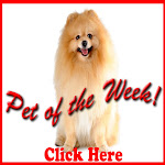 ....Pet of the Week!...
