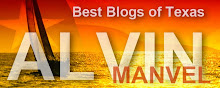 Best Of Texas Blogs: Alvin/Manvel