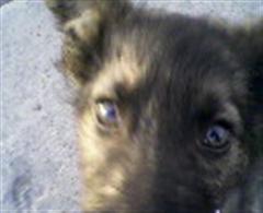 !Criatura angelical y divina!