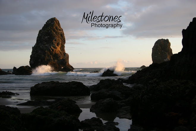 Milestones Photography
