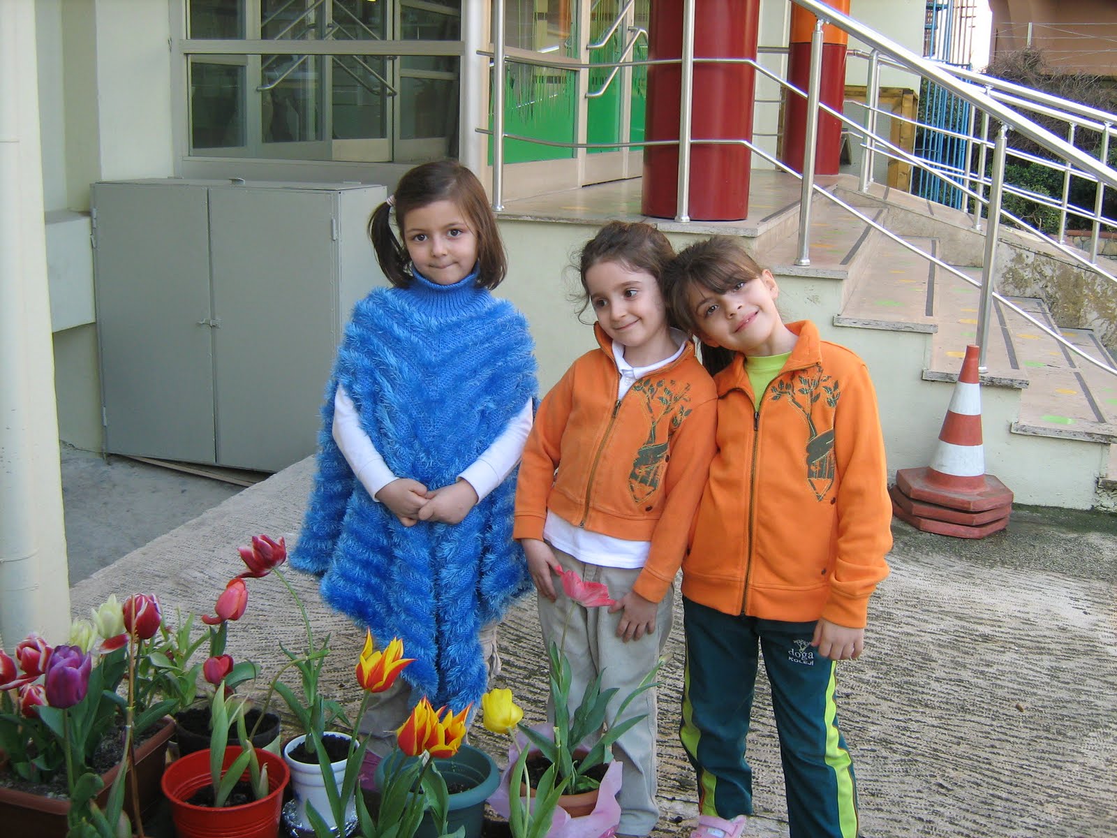 Özlem�in Doğası Lale Bahçemiz
