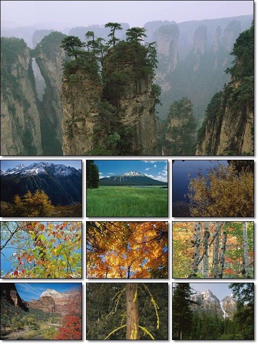 All Wallpaperz Free: 5/2/10 - 5/9/10