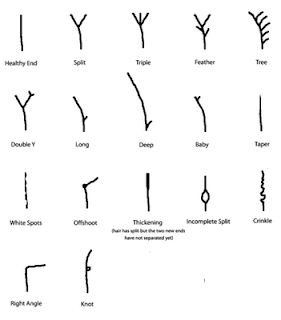 splitends%2521